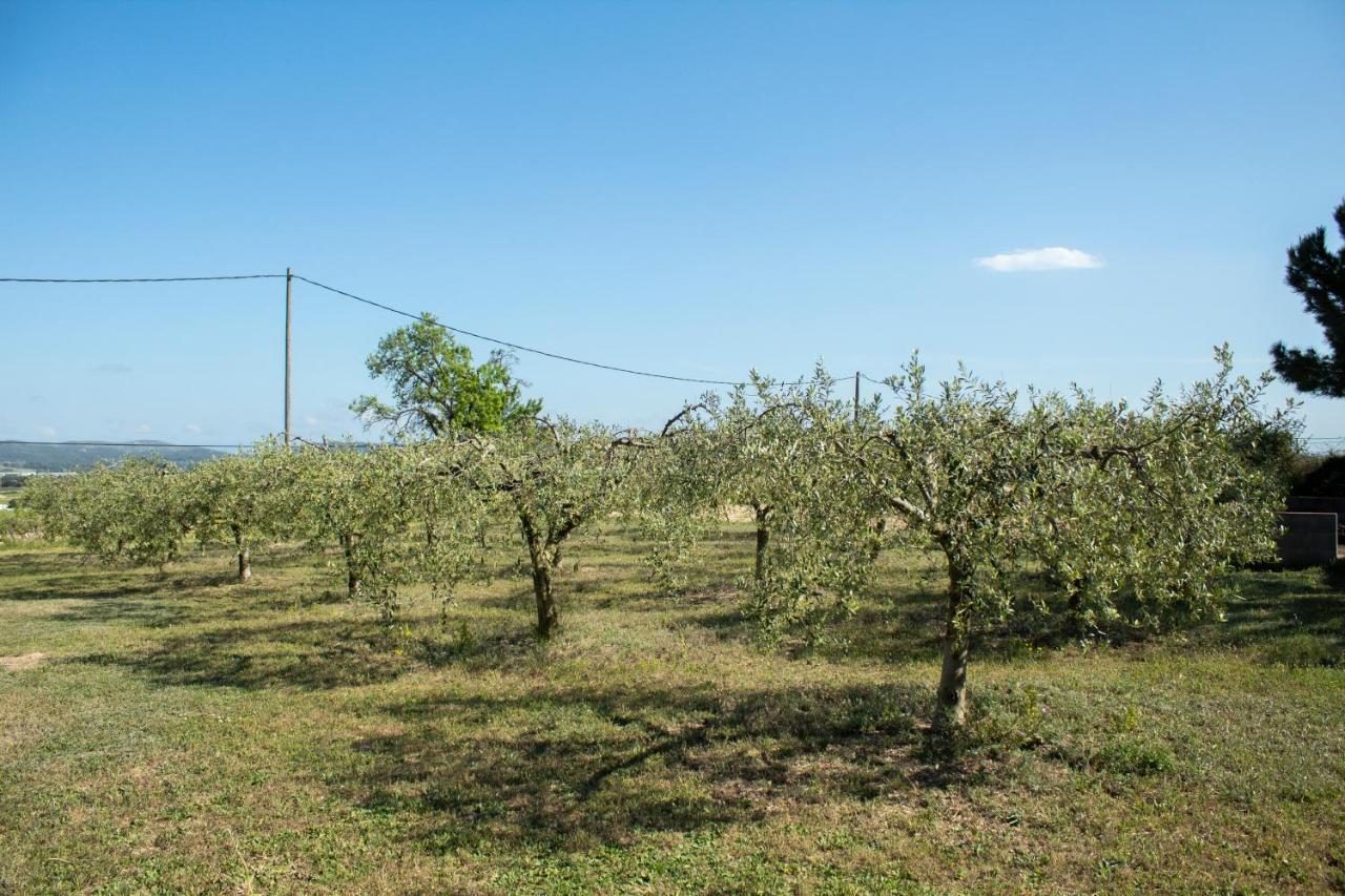 Romegosa Benestar Βίλα Sant Marcal Εξωτερικό φωτογραφία