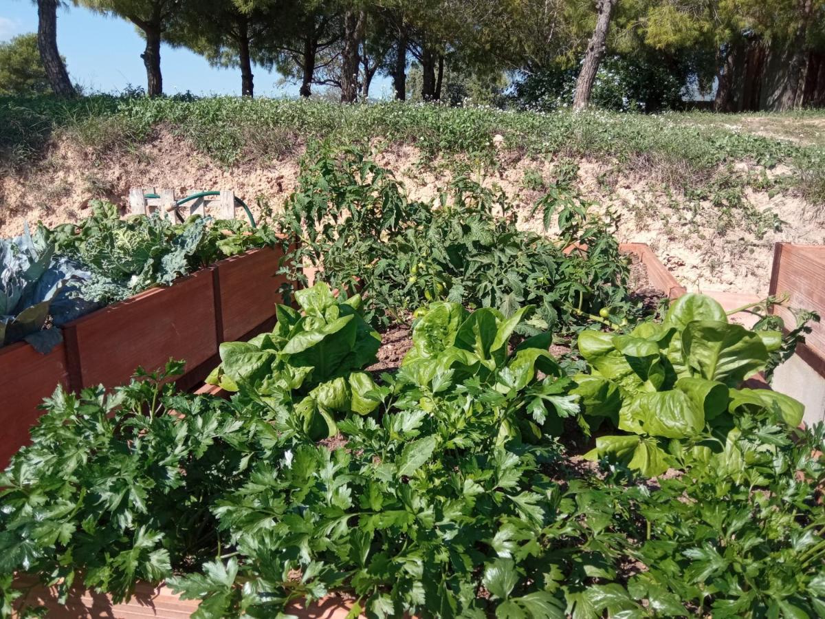 Romegosa Benestar Βίλα Sant Marcal Εξωτερικό φωτογραφία
